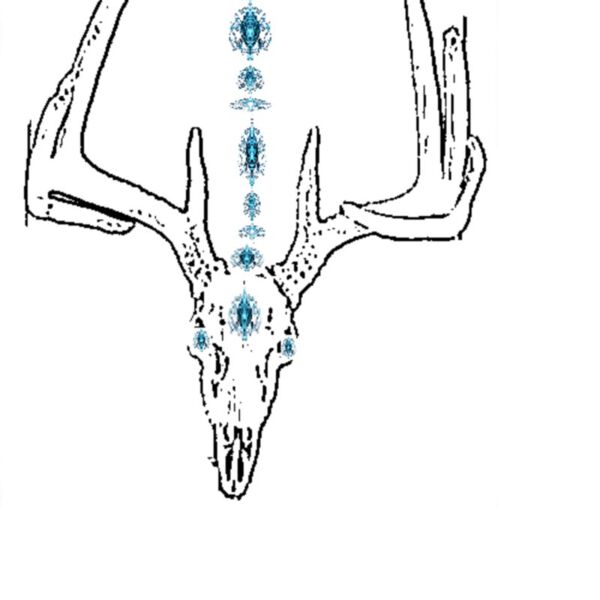 last ned   2020 03 24T114355 removebg preview Thumbnail