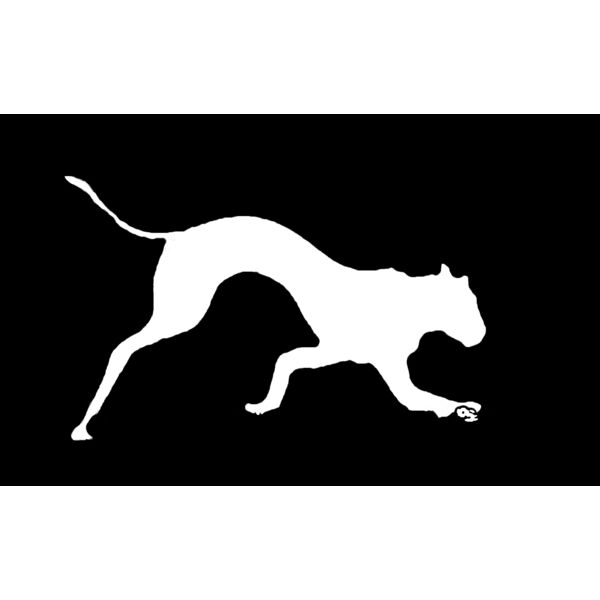 last ned   Kopi   Kopi Thumbnail